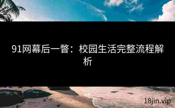 91网幕后一瞥：校园生活完整流程解析