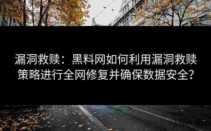 漏洞救赎：黑料网如何利用漏洞救赎策略进行全网修复并确保数据安全？