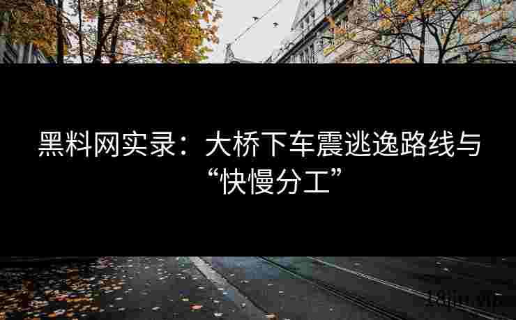黑料网实录：大桥下车震逃逸路线与“快慢分工”