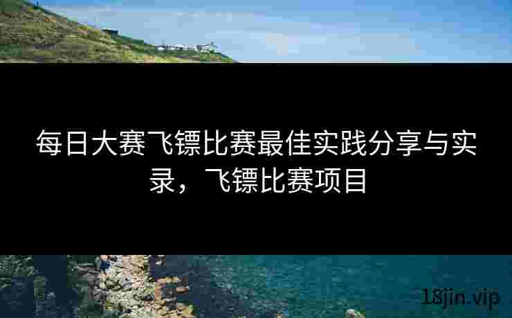 每日大赛飞镖比赛最佳实践分享与实录，飞镖比赛项目
