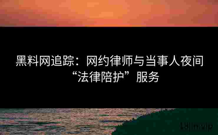 黑料网追踪：网约律师与当事人夜间“法律陪护”服务