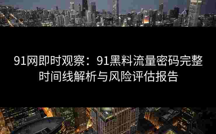 91网即时观察：91黑料流量密码完整时间线解析与风险评估报告