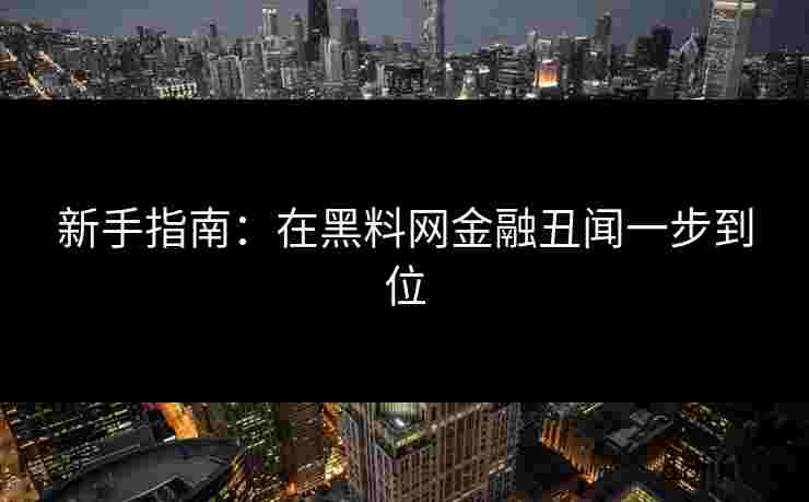 新手指南：在黑料网金融丑闻一步到位