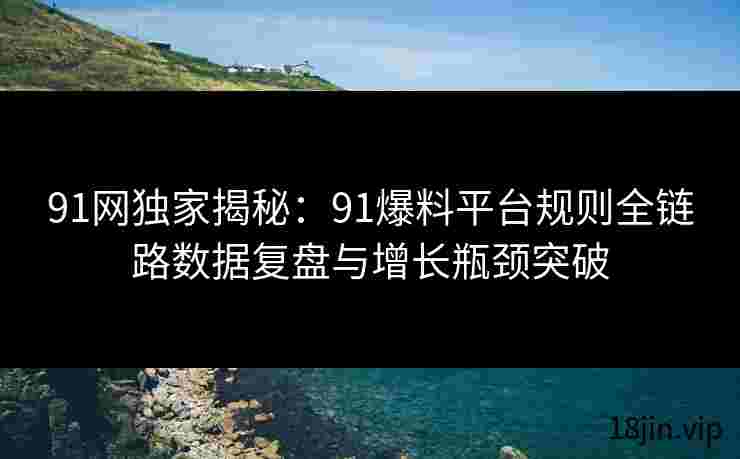 91网独家揭秘：91爆料平台规则全链路数据复盘与增长瓶颈突破