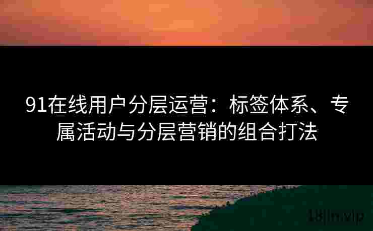 91在线用户分层运营：标签体系、专属活动与分层营销的组合打法